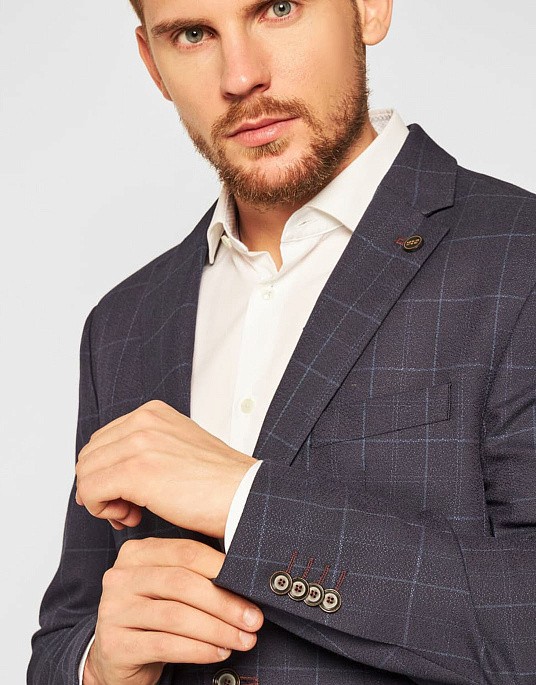 Пиджак Pierre Cardin из коллекции Voyage синего цвета в клетку